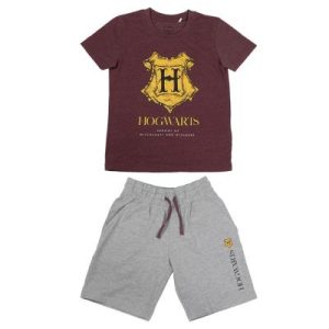 Conjunto Harry Potter