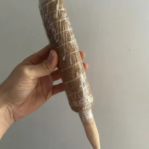 Tutor de ABS para Plantas de Fibra de coco con Estaca de Madera